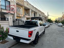 فۆرد F-150